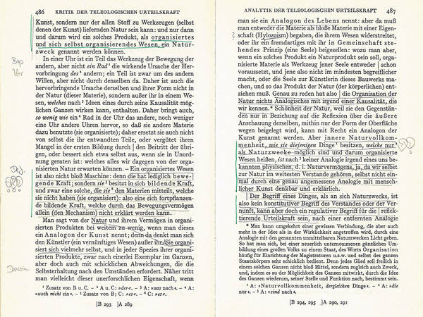 Wie über die Kunst eines Menschen schreiben?